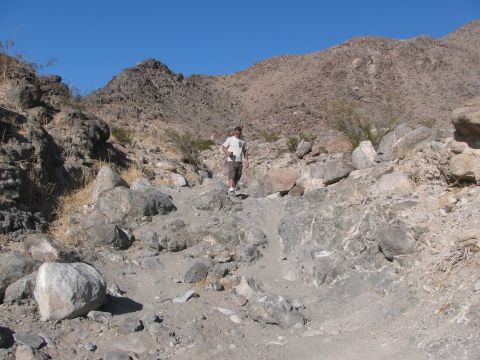 1996 Ford C-350 (Centurion Conversions) - A person walks down a steep, rocky path in a desert landscape under a clear blue sky.