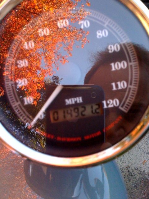 2001 Ford Crown Victoria - A motorcycle's speedometer displays mileage, with autumn leaves reflected in the glass.