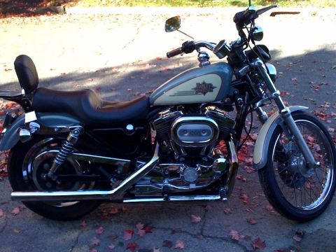 2001 Ford Crown Victoria - A Harley-Davidson motorcycle is parked outdoors on a paved surface with fallen leaves.