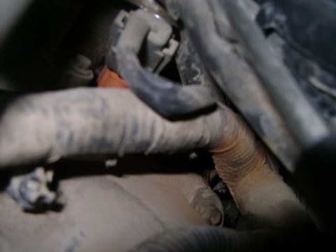1998 Ford Crown Victoria - This image shows a close-up view of a vehicle's engine compartment, focusing on wiring and hoses.