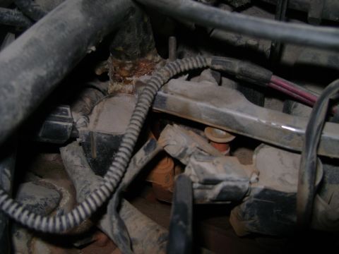 1998 Ford Crown Victoria - Close-up view of engine components, showing hoses and electrical wiring.