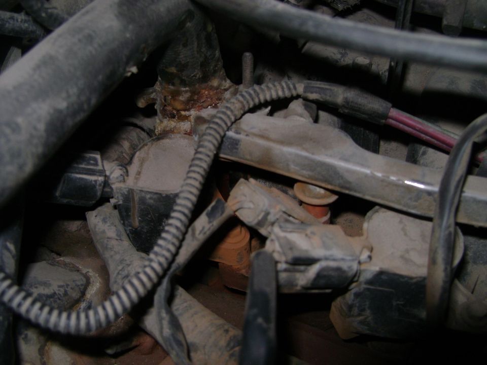 Engine hoses and wiring with corrosion and dirt