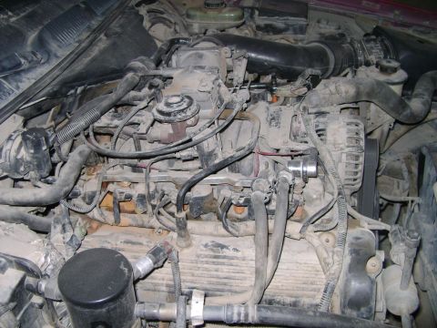1998 Ford Crown Victoria - Close-up view of a dusty engine compartment, showing various hoses, wires, and engine components.
