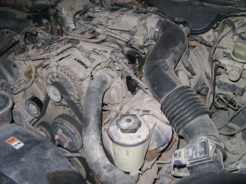 1998 Ford Crown Victoria - Engine bay of a 1998 Ford Crown Victoria, showing the alternator and other components.