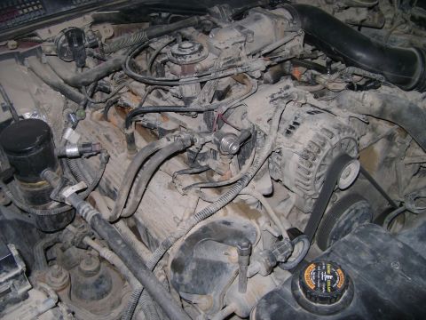 1998 Ford Crown Victoria - The engine bay is covered in dust and grime, obscuring many details of the components.