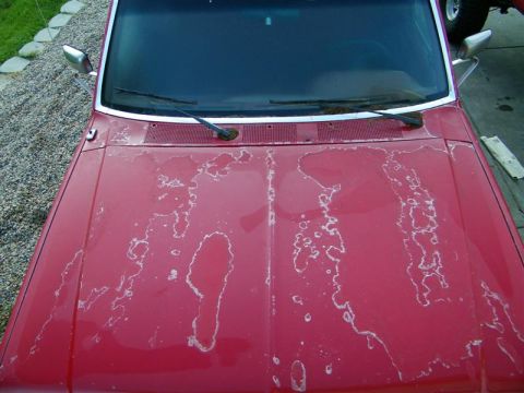 1990 Ford F-350 - The paint on this truck's hood is severely damaged and peeling, revealing white patches underneath.