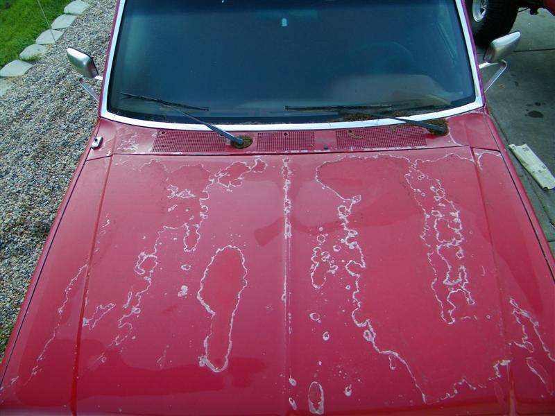 Red truck hood with large patches of peeling clear coat and paint damage
