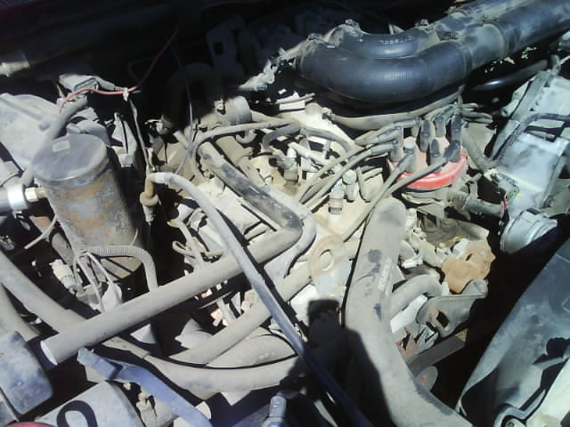 Engine bay with hoses and distributor cap