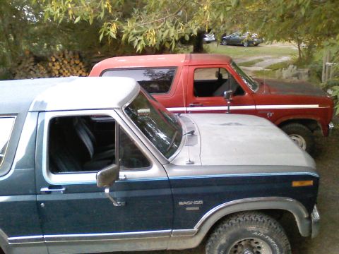 1981 Ford Bronco - My brother's and my Bronco side by side.