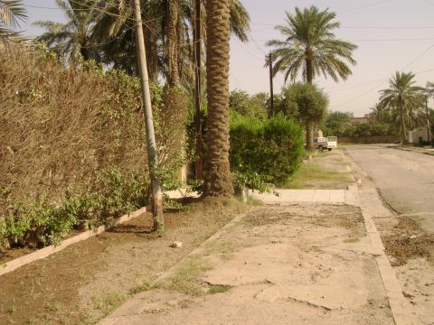 1998 Ford Crown Victoria - A white pickup truck is parked on the side of a road lined with palm trees and bushes.