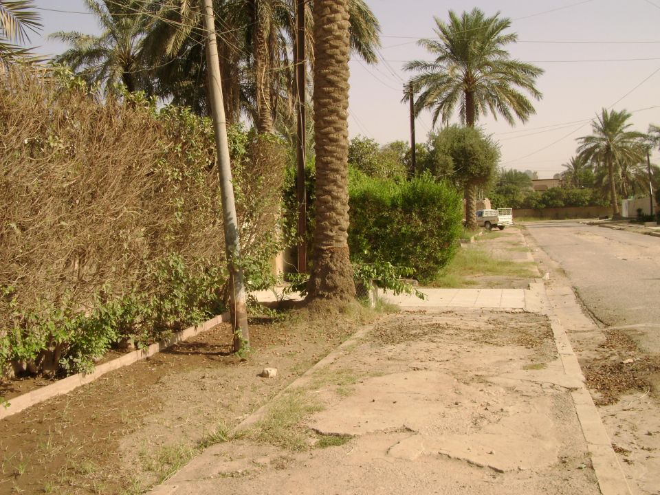 White pickup truck parked on side of dusty road with palm trees and bushes