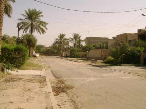 1998 Ford Crown Victoria - A street scene shows a white van parked on the side of the road, surrounded by palm trees and buildings.