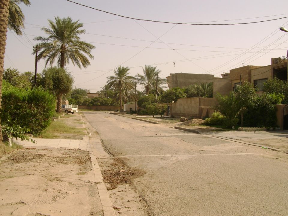 White van parked on the side of a street in a dry, dusty area with palm trees and buildings
