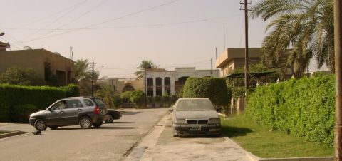 1998 Ford Crown Victoria - Two cars are parked on a residential street with buildings and palm trees in the background.