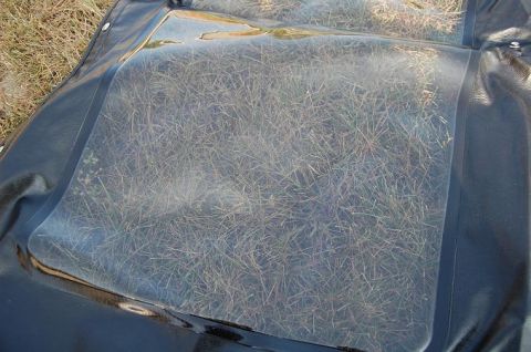 1994 Ford Bronco - Close-up of a vehicle's soft top window, revealing dry grass underneath.