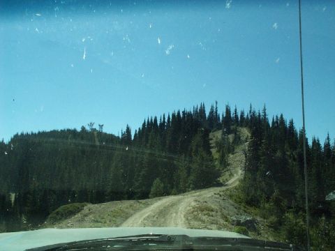 1982 Ford Bronco - View from inside a vehicle driving on a dirt road through a dense forest with a clear blue sky above.