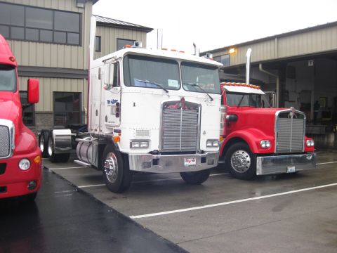 1981 Kenworth W900A - Two semi-trucks, one white 1981 Kenworth W900A and one red truck, are parked in a lot.