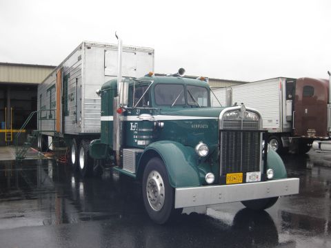 1981 Kenworth W900A - A vintage green Kenworth truck is hitched to a silver trailer, with other trucks visible in the background.