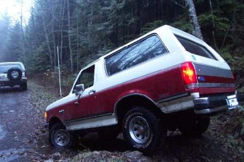 1982 Ford Bronco - Two Ford Broncos are seen on a dirt road in a wooded area, with the foreground vehicle angled off the path.
