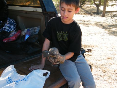 1982 Ford Bronco - A boy holds a bird while sitting in the back of a truck with various items in the bed.