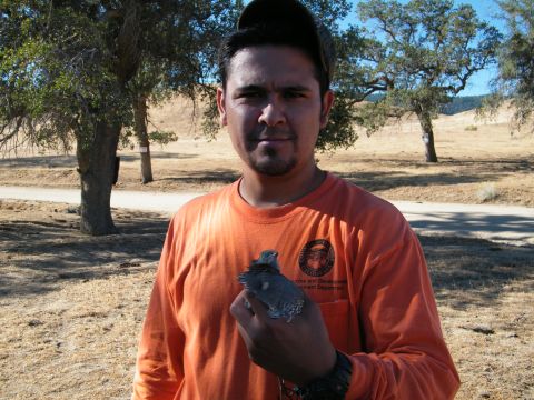 1982 Ford Bronco - A man holds a small bird while standing in a dry, outdoor environment with trees in the background.