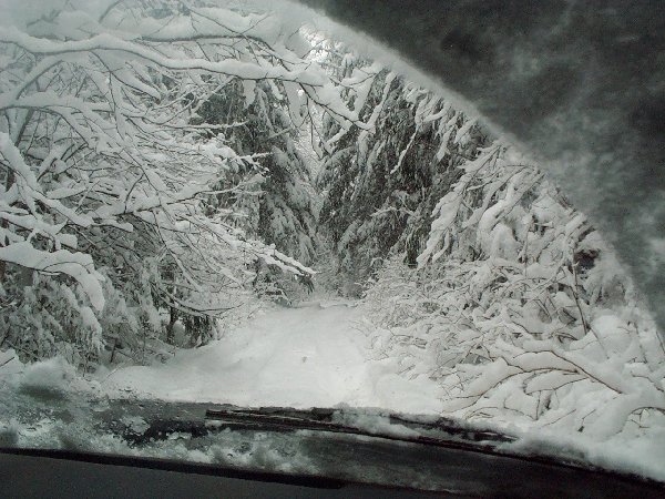Snowy forest road seen through a windshield with wiper blades