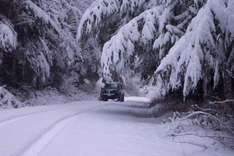1982 Ford Bronco - A vehicle navigates a snowy path surrounded by snow-covered trees.
