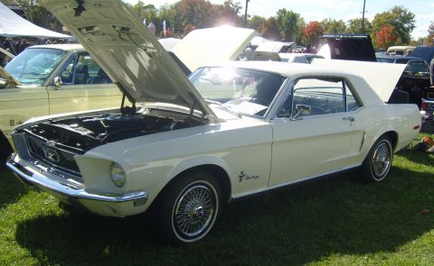 2007 Ford Mustang - White 1967 Ford Mustang coupe on display at an outdoor car show with hoods open.