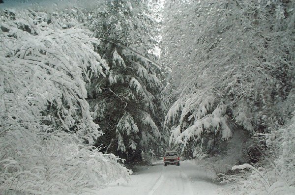 Red SUV on snowy road between snow-covered trees