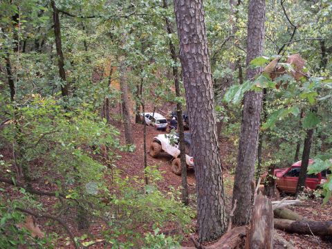 1995 Ford Bronco - Multiple off-road vehicles are seen on a trail surrounded by dense trees and foliage.