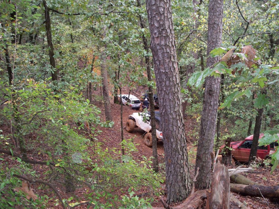 Several off-road vehicles navigating a muddy, wooded trail. One white vehicle is climbing a steep incline
