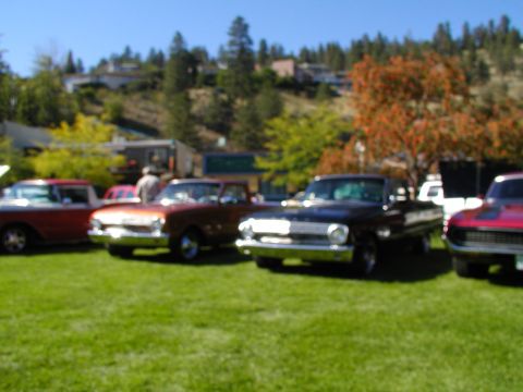 1967 Ford Ranchero - A collection of vintage automobiles are displayed outdoors on a sunny day.