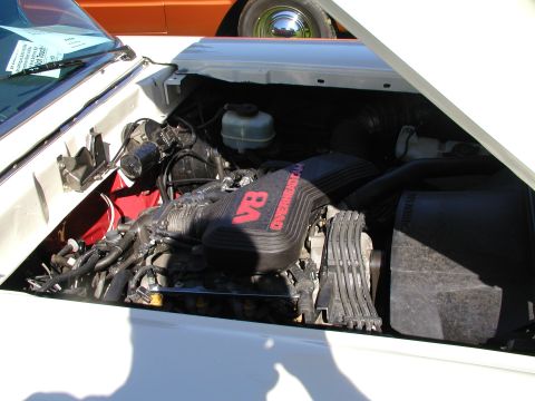 1967 Ford Ranchero - Engine bay detail with V8 OVERHEAD CAM engine cover. Another vehicle is visible in the background.