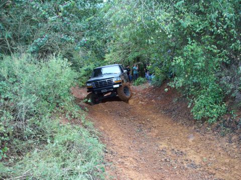 1995 Ford Bronco - 1995 Ford Bronco navigating a challenging off-road course through dense foliage.
