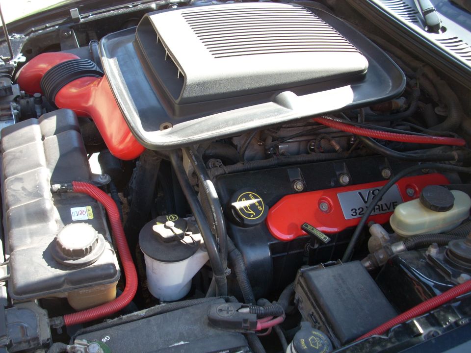 Engine bay with V8 32 valve cover and red intake piping