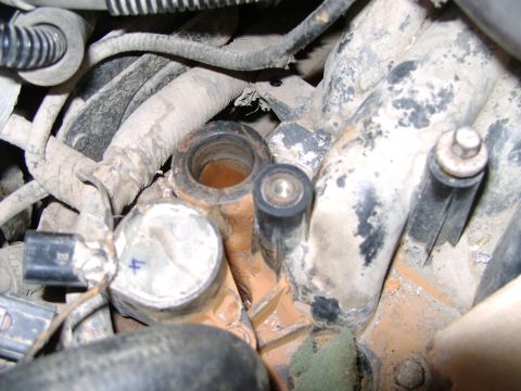 1998 Ford Crown Victoria - Close-up view of a dirty engine intake manifold with visible hoses and connectors.