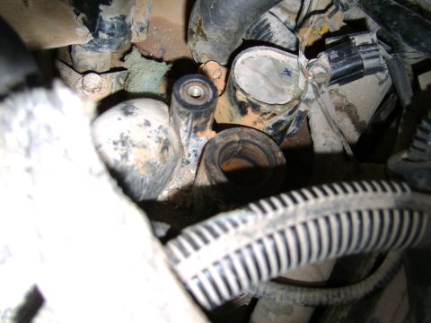 1998 Ford Crown Victoria - Close-up view of engine components, including hoses and wiring, likely during maintenance or repair.