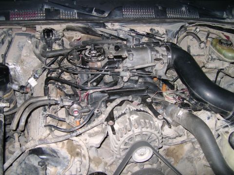 1998 Ford Crown Victoria - Close-up view of a vehicle's engine compartment, showing intricate mechanical components and wiring.