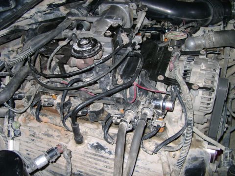 1998 Ford Crown Victoria - Close-up view of a dirty engine bay, showing various components and wiring. wiring harnesses.