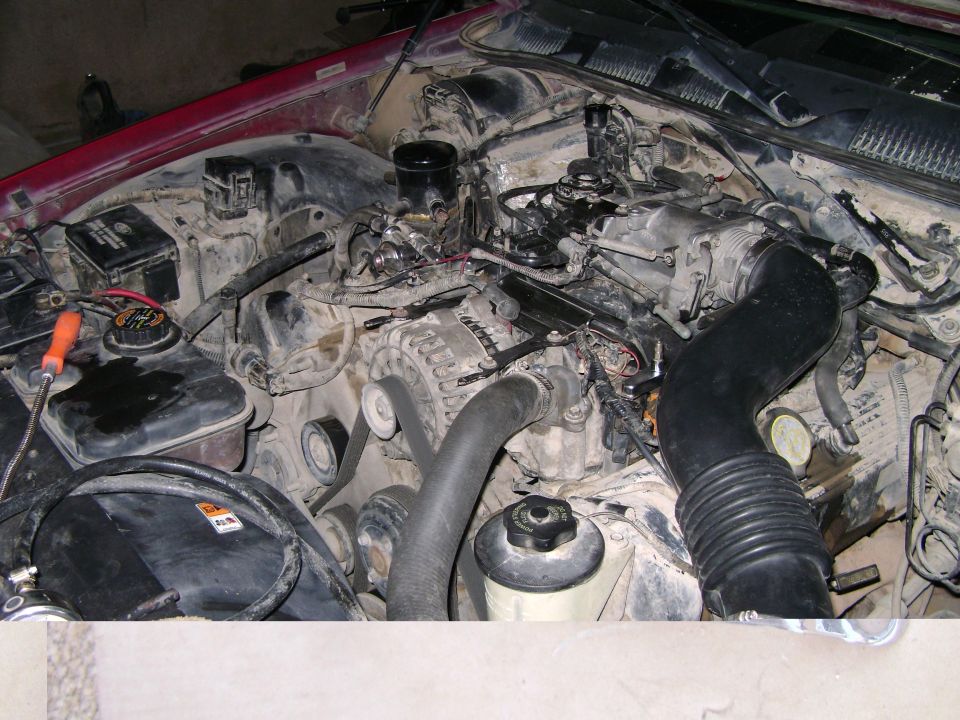 Engine bay with intake manifold and alternator visible