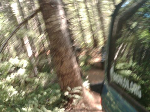 1990 Ford Bronco II - Tillamook State Forest Oregon, "Powerlines"