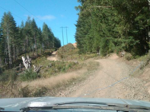 1990 Ford Bronco II - Tillamook State Forest Oregon, "Powerlines"