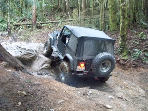 1982 Ford Bronco - A black Jeep Wrangler tackles a challenging off-road trail in a wooded area.