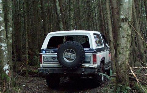 1982 Ford Bronco - A Ford Bronco navigates a wooded trail, its spare tire prominently displayed on the rear.