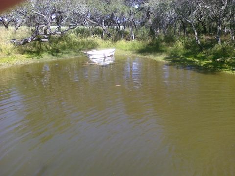 1993 Ford Bronco - A small white boat rests on the surface of a calm pond, surrounded by lush green trees and vegetation.