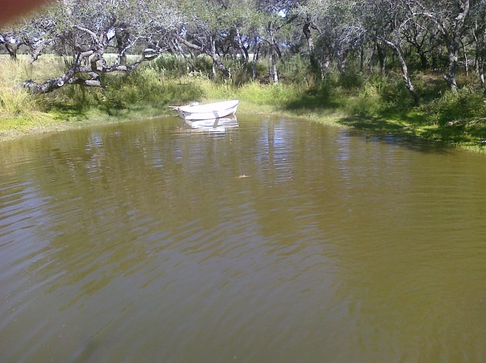 White boat floating on a pond with trees in the background