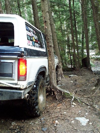 1982 Ford Bronco - A white Ford Bronco navigates a muddy, wooded path, its rear visible as it is parked close to trees.