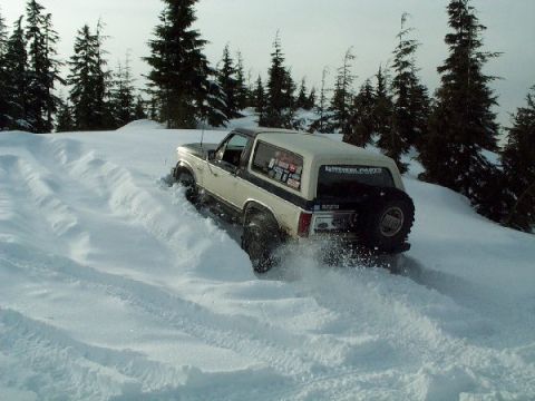 1982 Ford Bronco - Ford Bronco navigating a snowy trail with trees visible in the background.