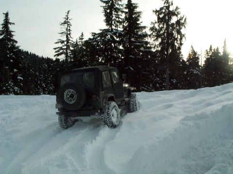 1982 Ford Bronco - A Jeep Wrangler navigates a snowy terrain with trees in the background.