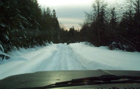 1982 Ford Bronco - View from inside a vehicle driving on a snow-covered road through a forest.